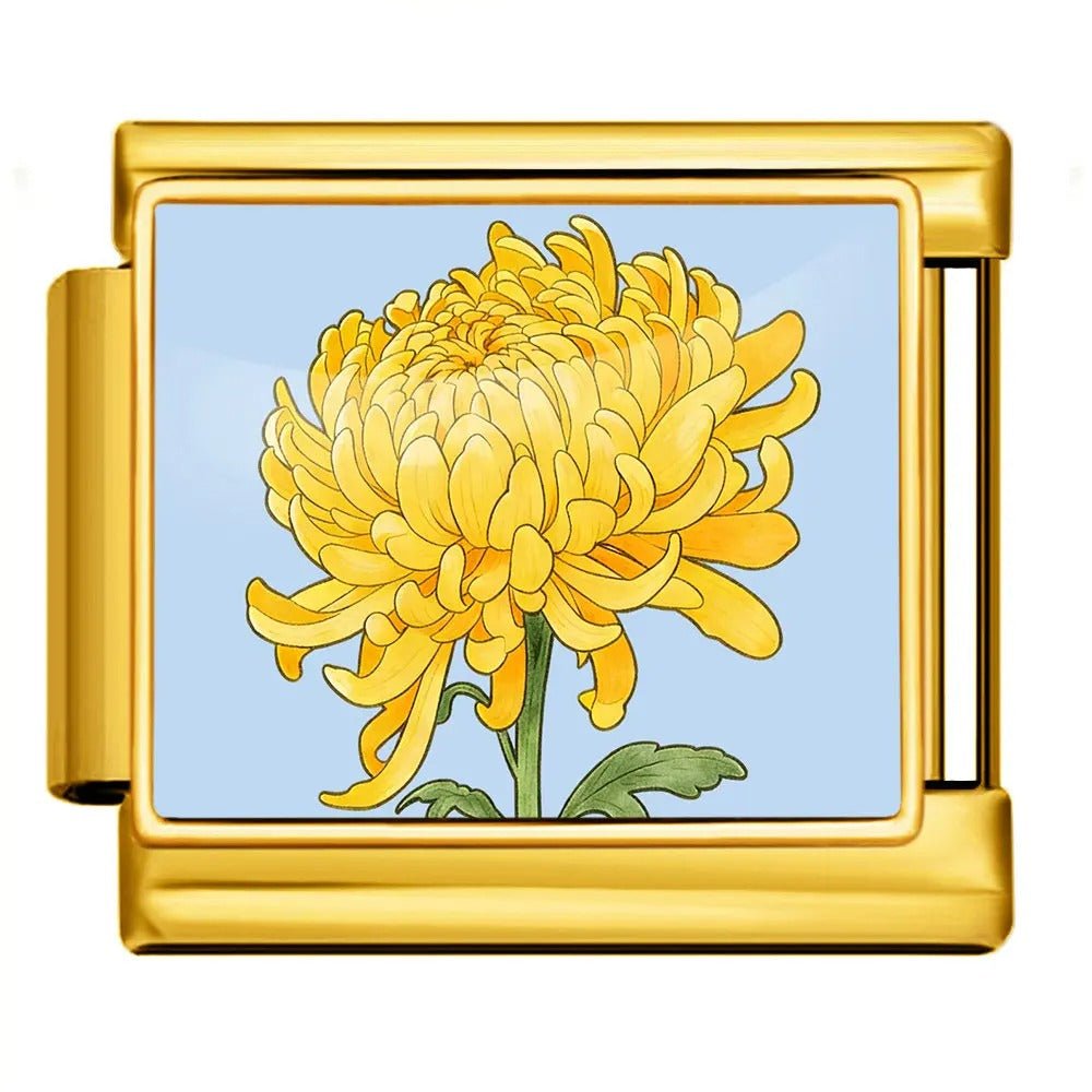 Chrysanthemum