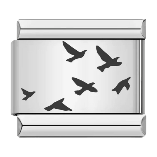 Oiseaux