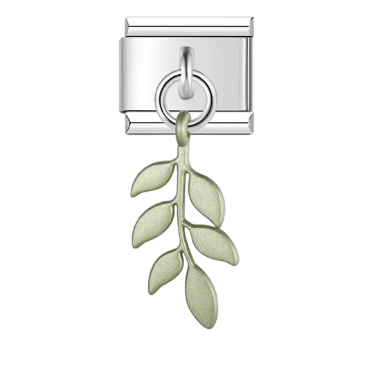 Fougère pendante