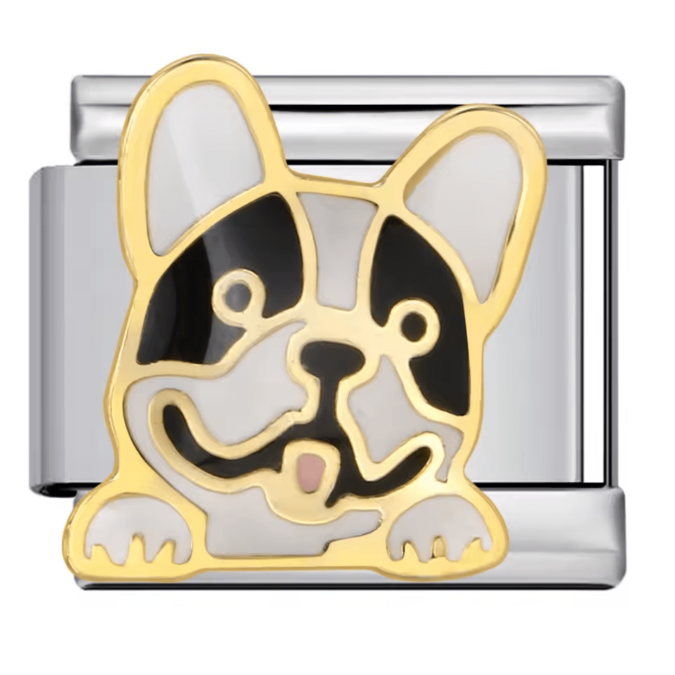 Bouledogue français