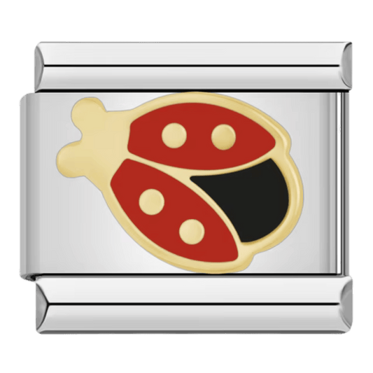 Coccinelle charm