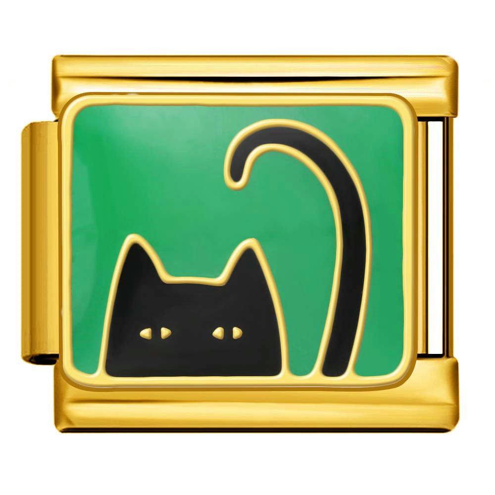 Curious Cat
