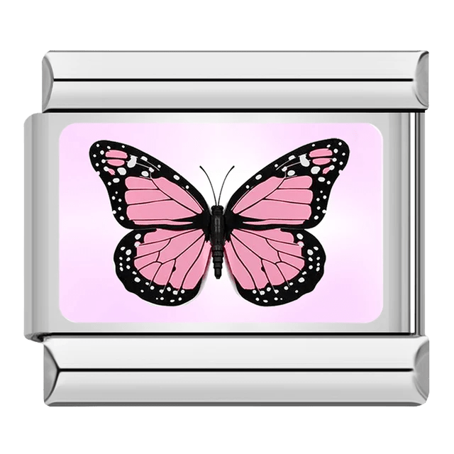 Papillon