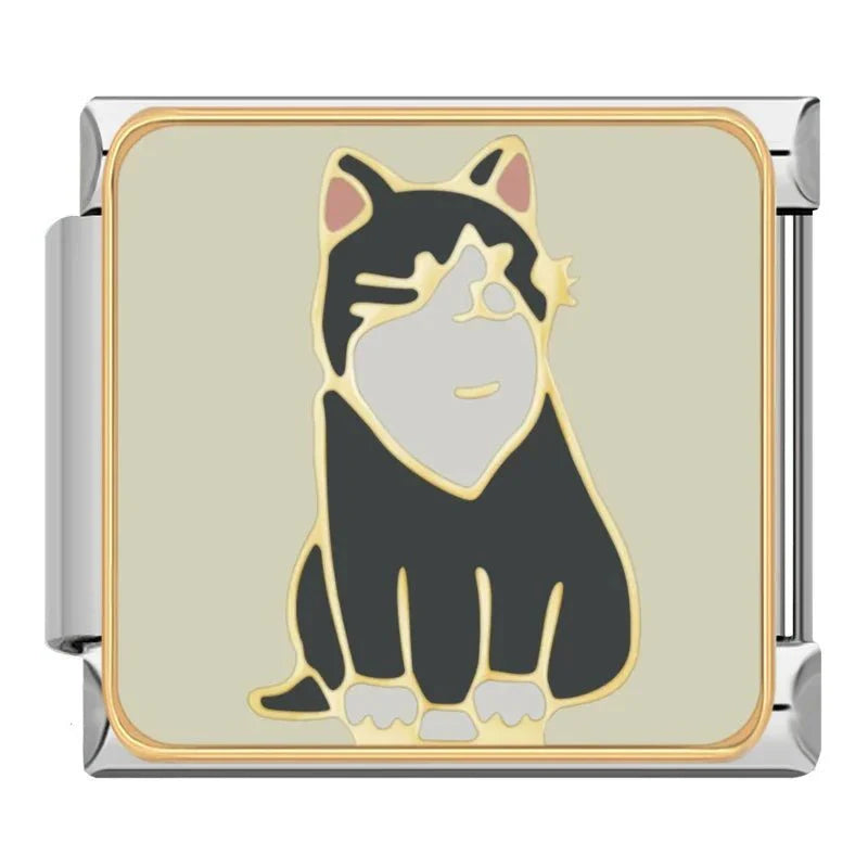 Chat noir et blanc