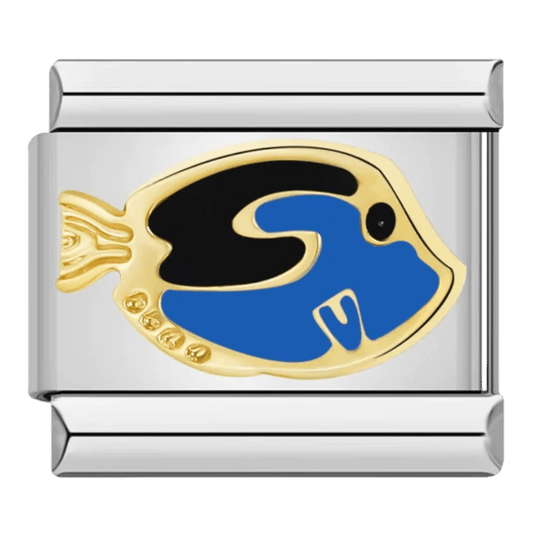 Poisson chirurgien