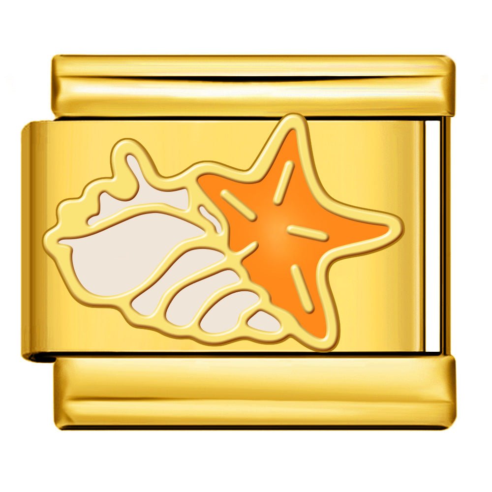 Starfish and Shell