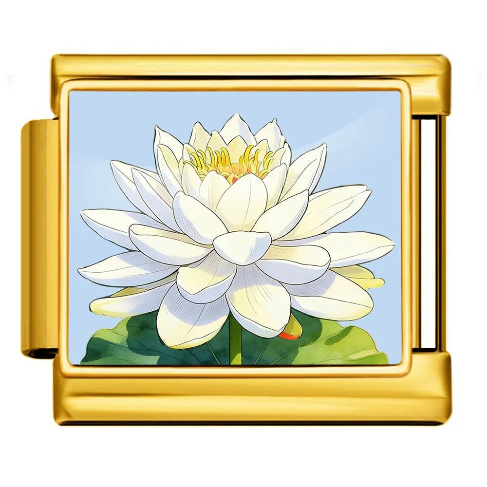 Water Lily