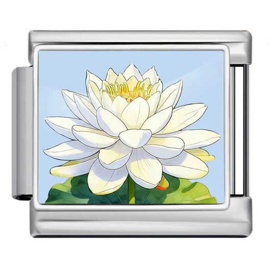 Nénuphar